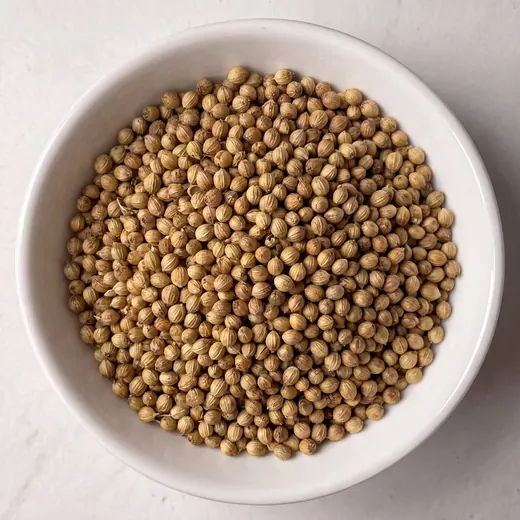 Coriander