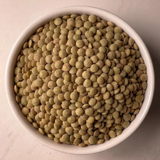 Lentil
