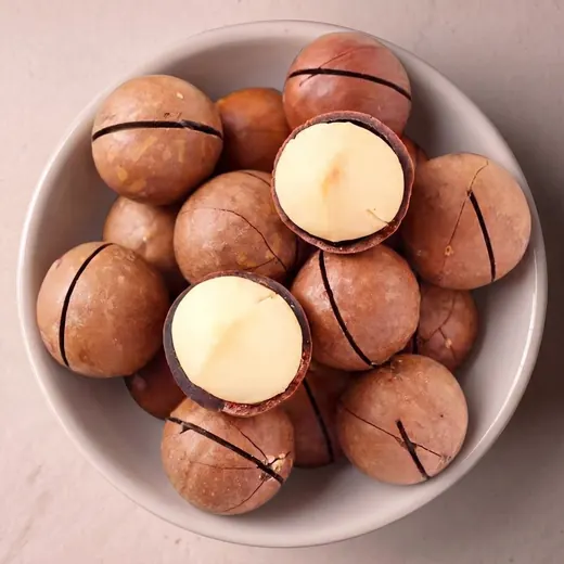 Macadamia