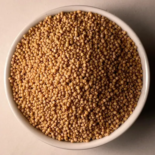 Mustard Seeds